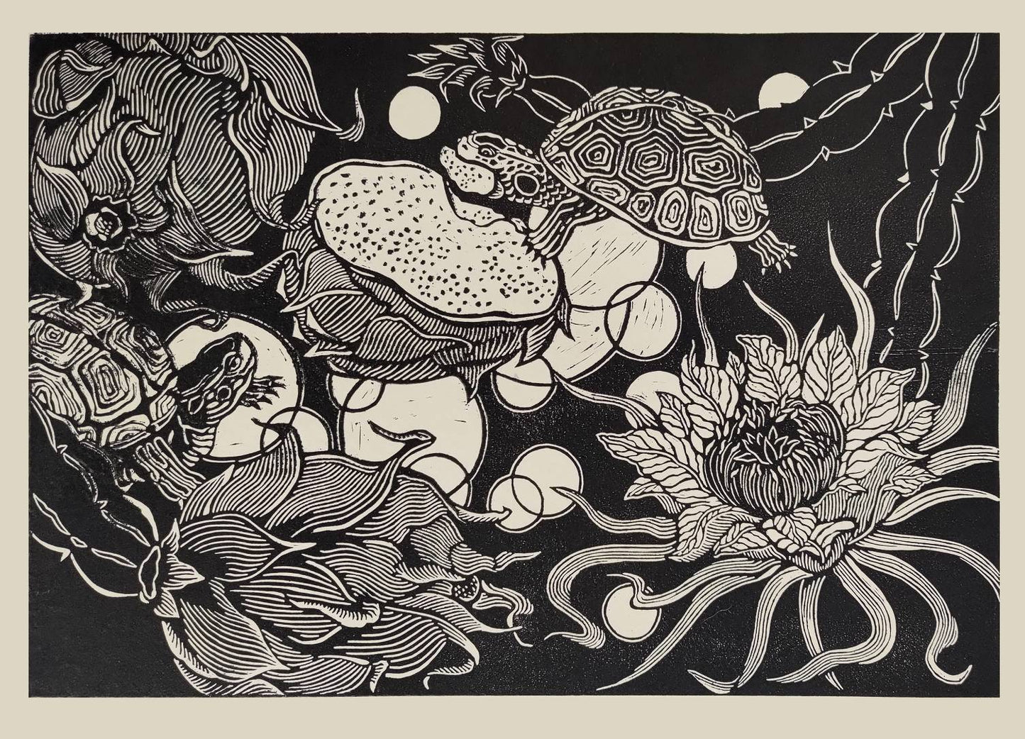 汪怡娉,火龍果與臺灣食蛇龜,2025,版畫、油墨、和紙,30x42cm。