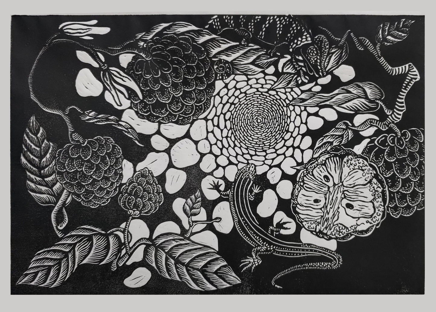 汪怡娉，釋迦與石龍子，2025，版畫、油墨、和紙，30x42cm。