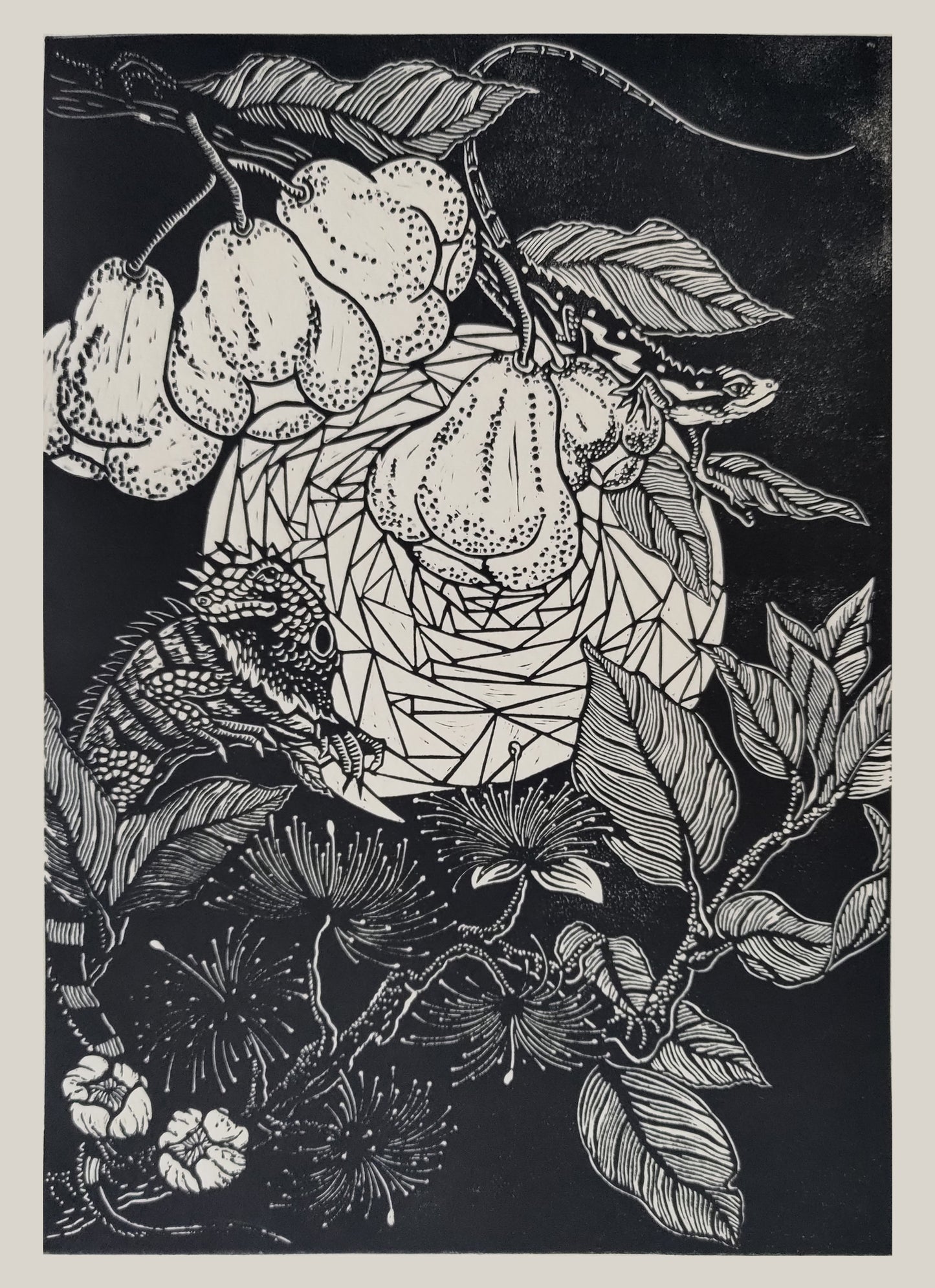 汪怡娉，蓮霧與斯文豪氏蜥蜴，2025，版畫、油墨、和紙，42x30cm。