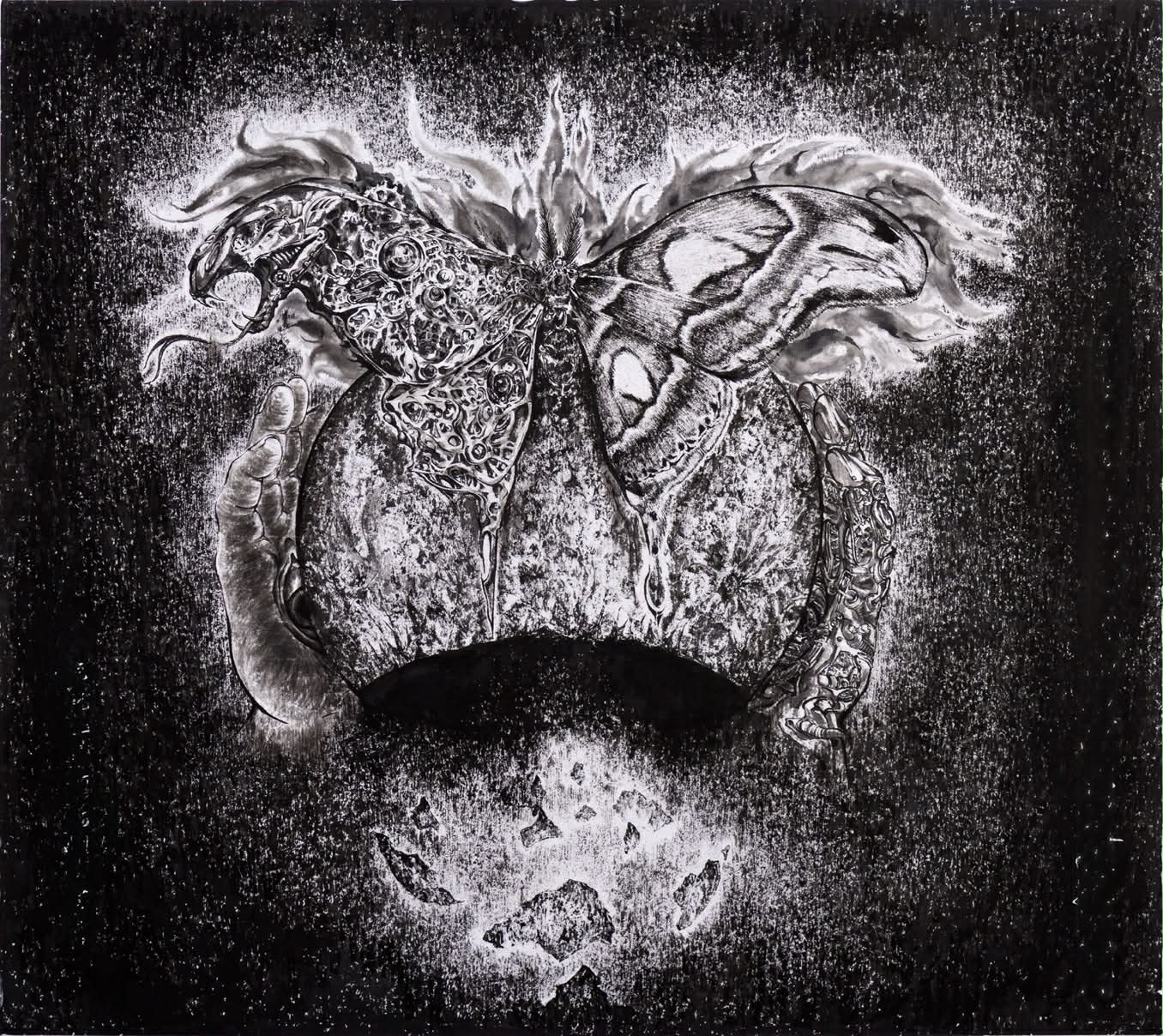 李孟芳，演化-皇蛾，2026，水墨紙本，40x40 cm。