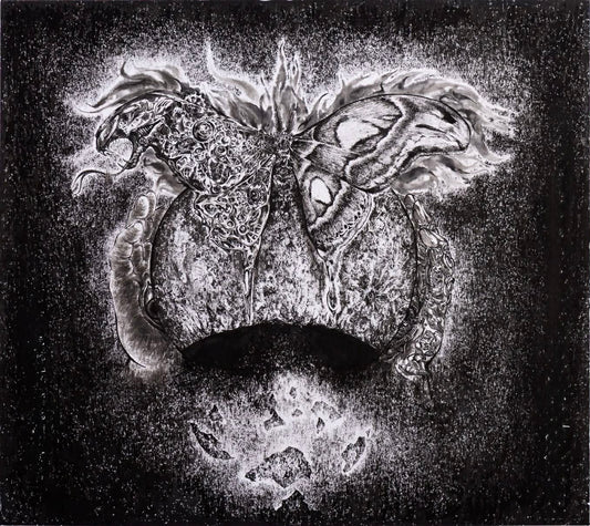 李孟芳，演化-皇蛾，2026，水墨紙本，40x40 cm。